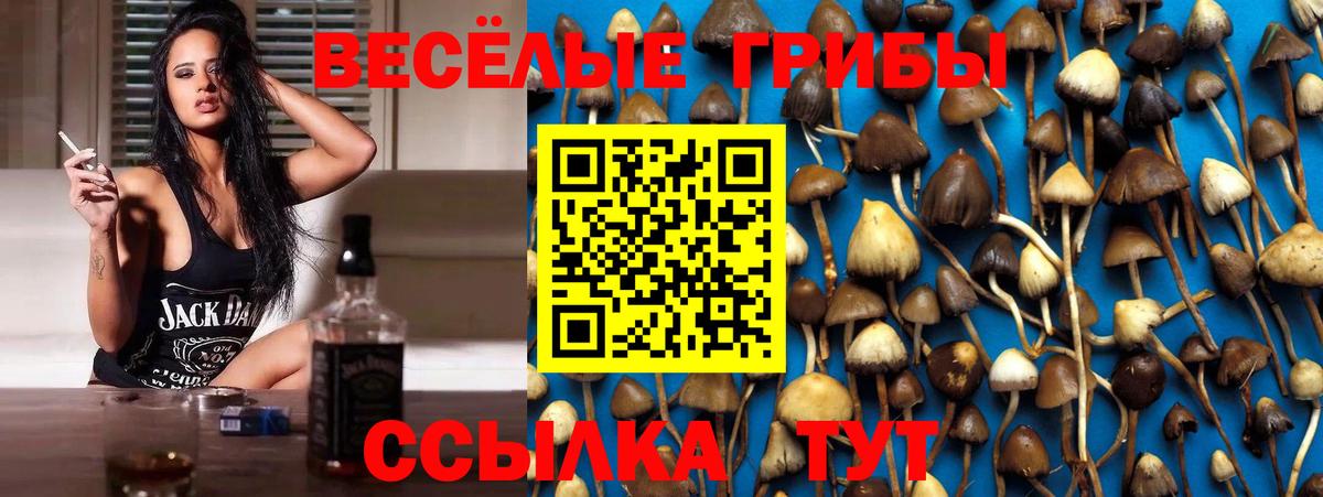 Красноярск  Псилоцибиновые грибы мухоморы  Псилоцибиновые грибы Cubensis  закладка  Вход с VPN 